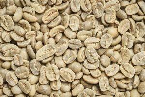 قهوه-سبز-کنیا-aa-+-انواع-مختلف-–-+-قهوه-تخصصی-کوه-کنیا-aa